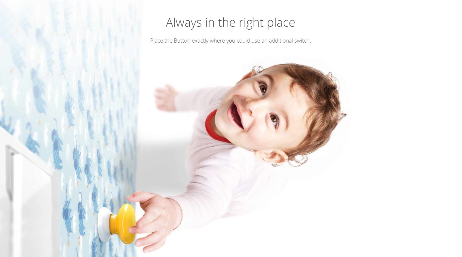 product-desc-image